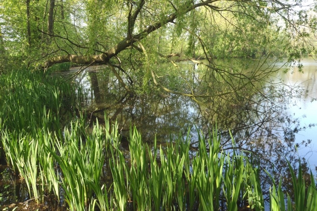  Carlton Lodge está cercado por uma bela paisagem